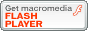 flash player����������ɥڡ�����