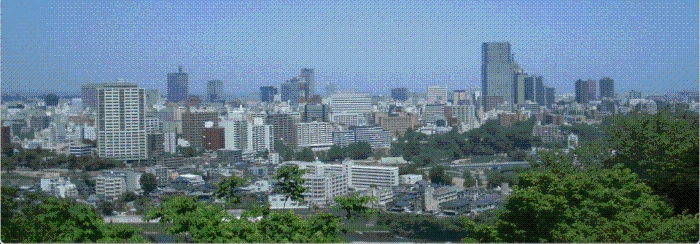写真：青葉山から見渡す仙台市内の景色