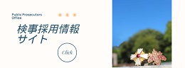 検察採用情報サイト