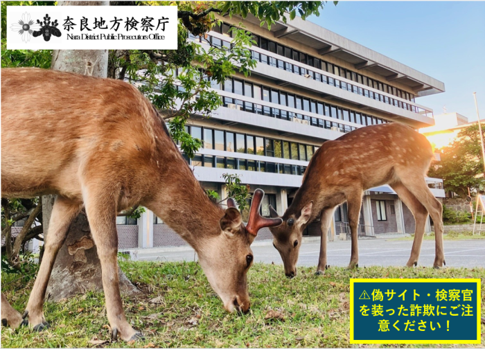 画像：奈良地方検察庁正面
